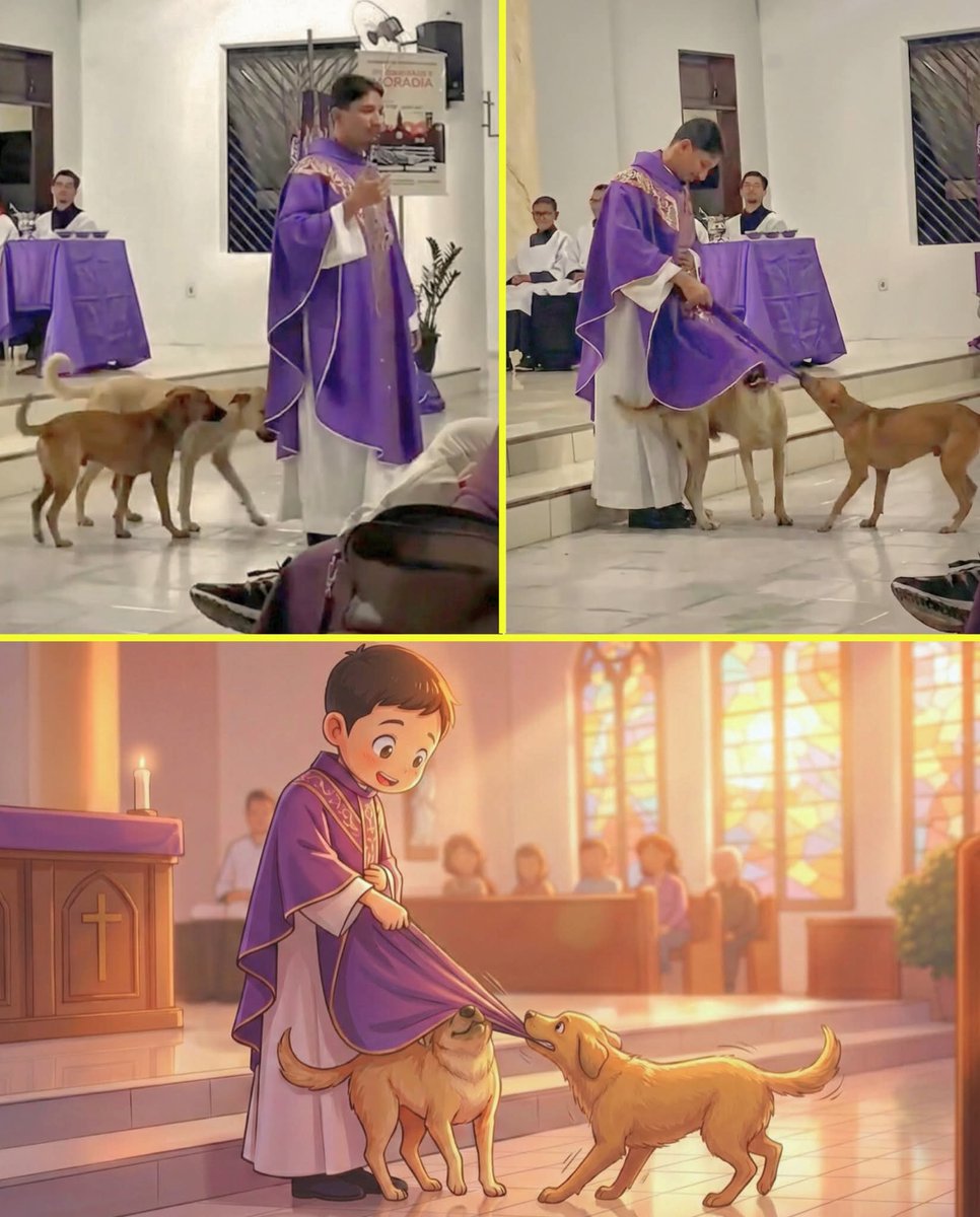 "Dois cachorrinhos entraram na missa... e conquistaram o coração de todos." O padre continuava a celebração quando dois cachorrinhos chegaram calmamente, sem medo, como se soubessem que estavam em um lugar seguro. Um deles tocou delicadamente sua veste, e o outro, abanando o