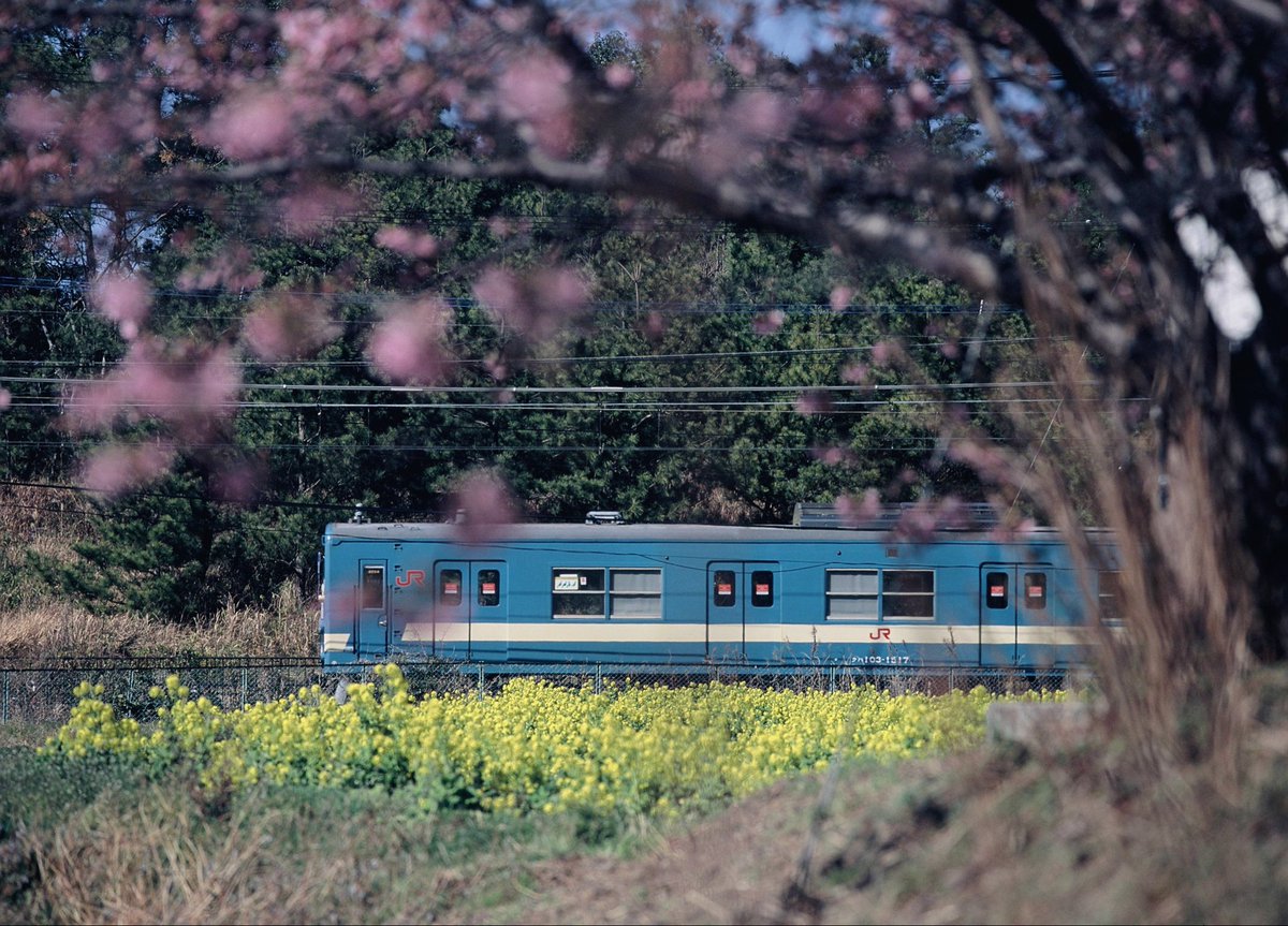 鉄道風景写真