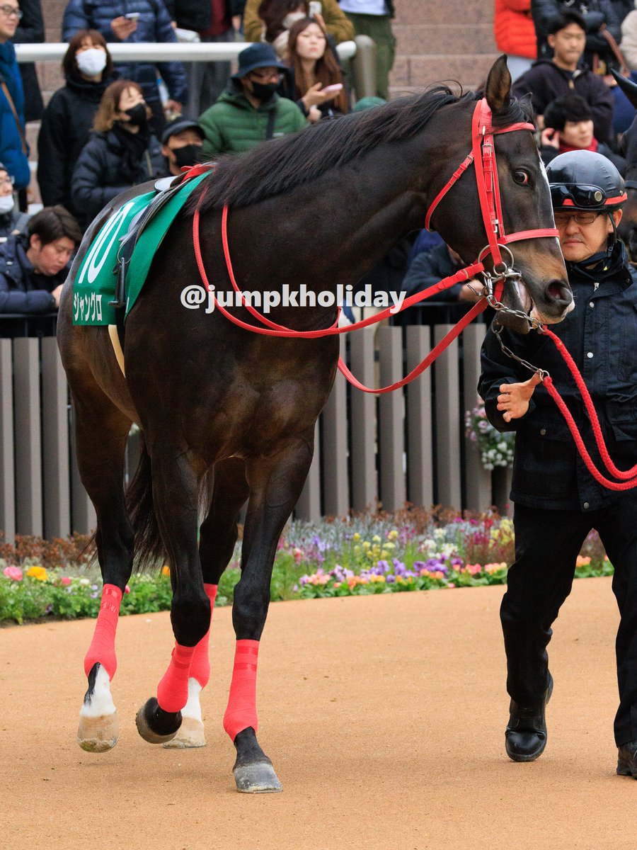 ジャングロが2月25日付けでJRAの登録を抹消。22年ニュージランド