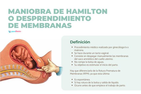 paraBebes.com tweet media