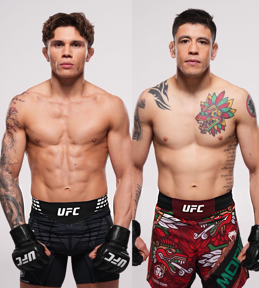 Home of Fight tweet media