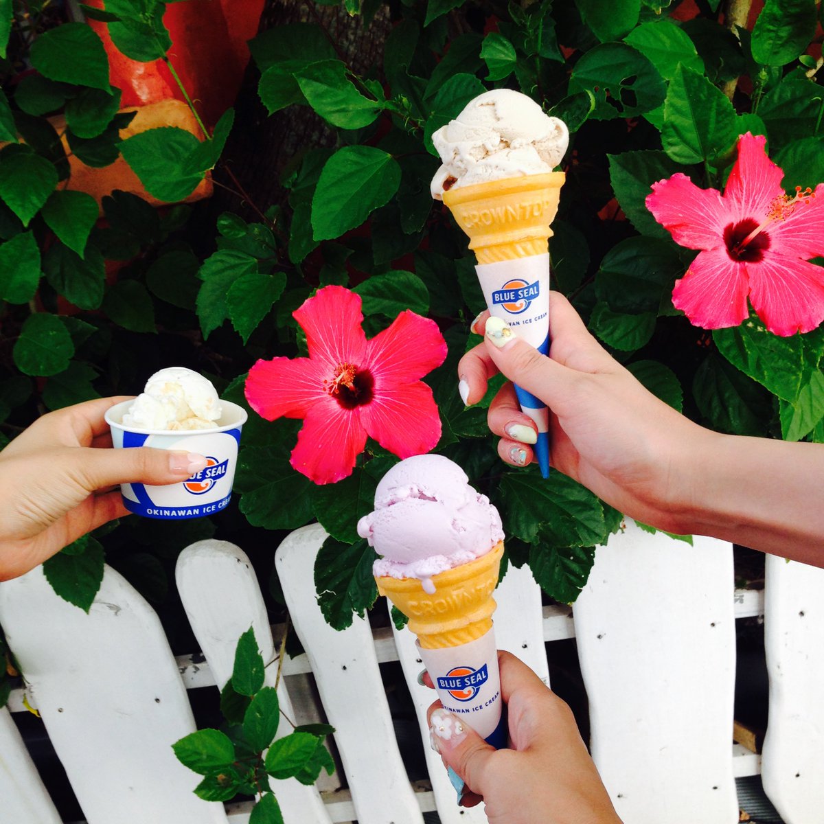 サルベージ🍦
