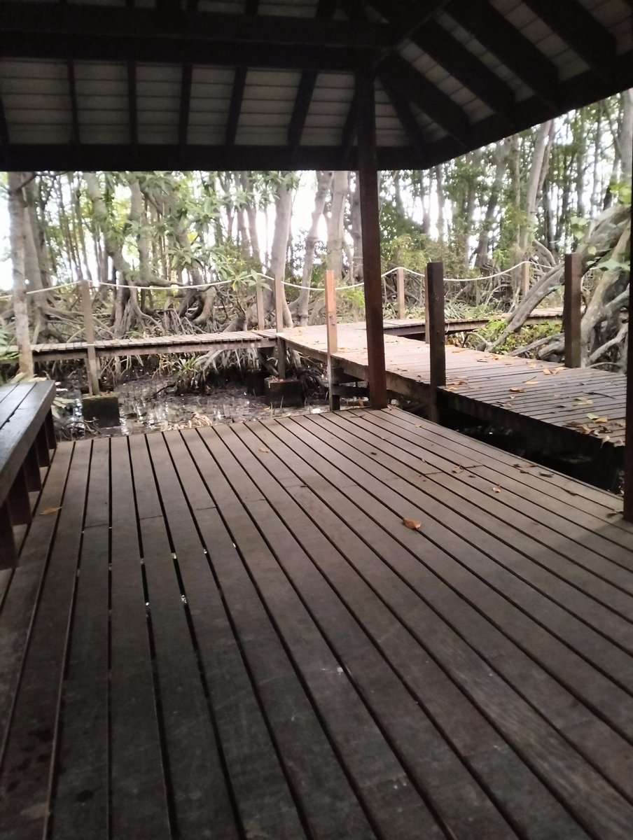 .★𝕭𝓞sTò𝓷★. tweet media