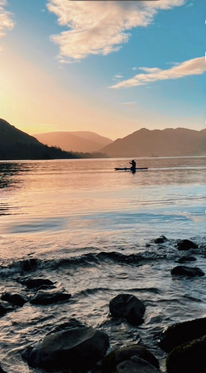 Catstycam.com tweet media