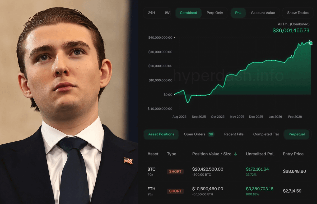 ardizor 🧙‍♂️ tweet media