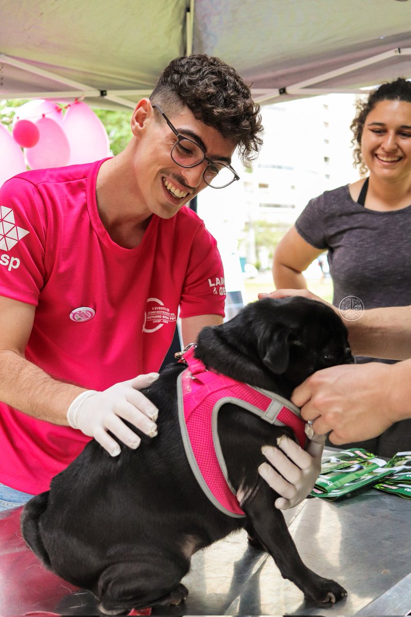 Fontinho tweet media