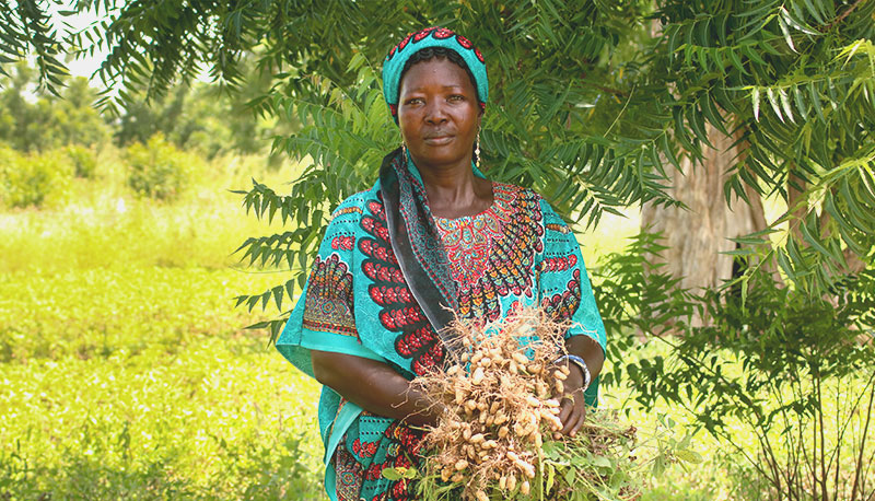 Farming First tweet media