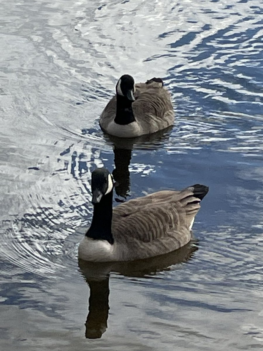 Jan 🌷🌿🦋 tweet media