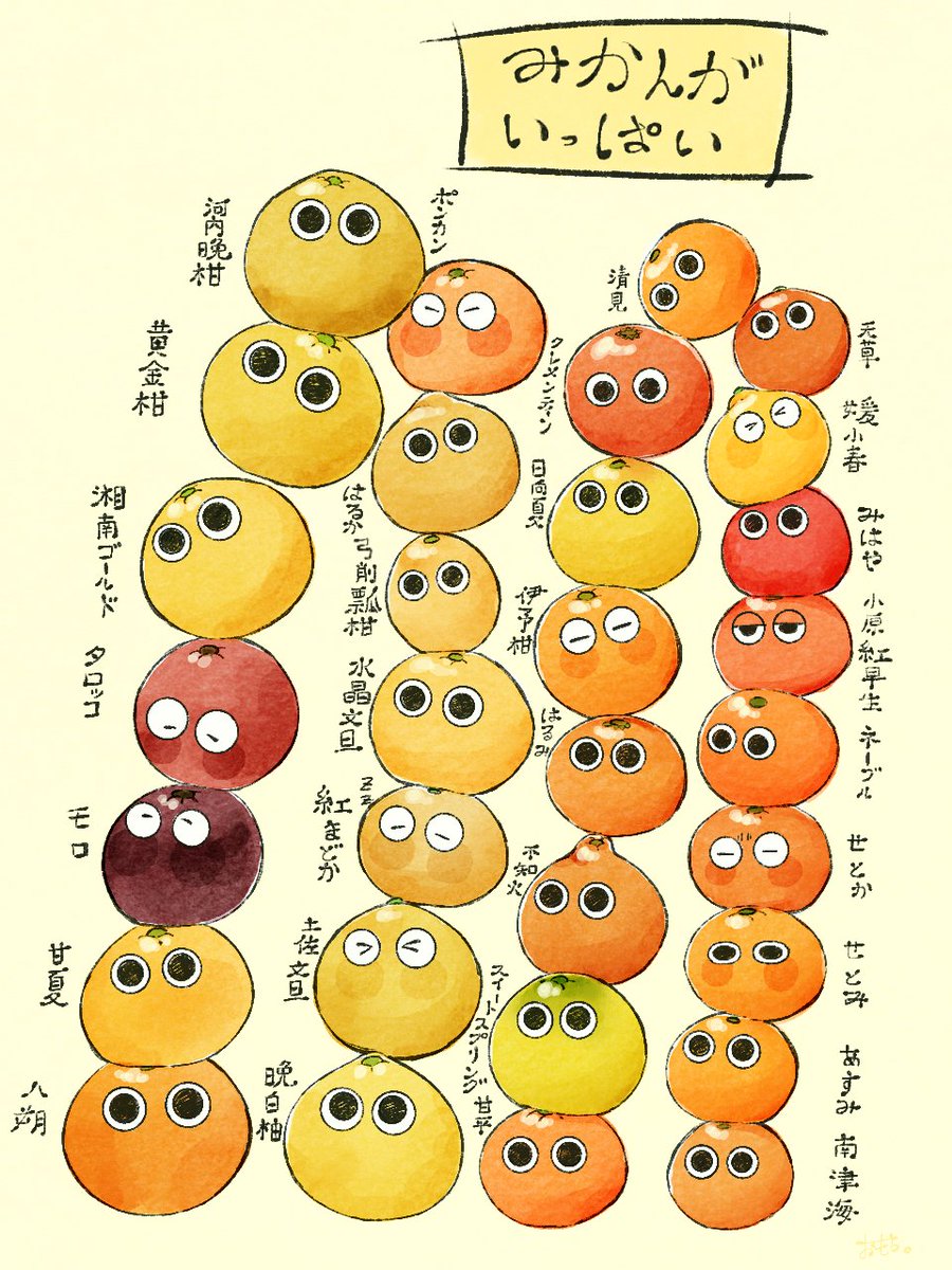 みかんいろいろ。