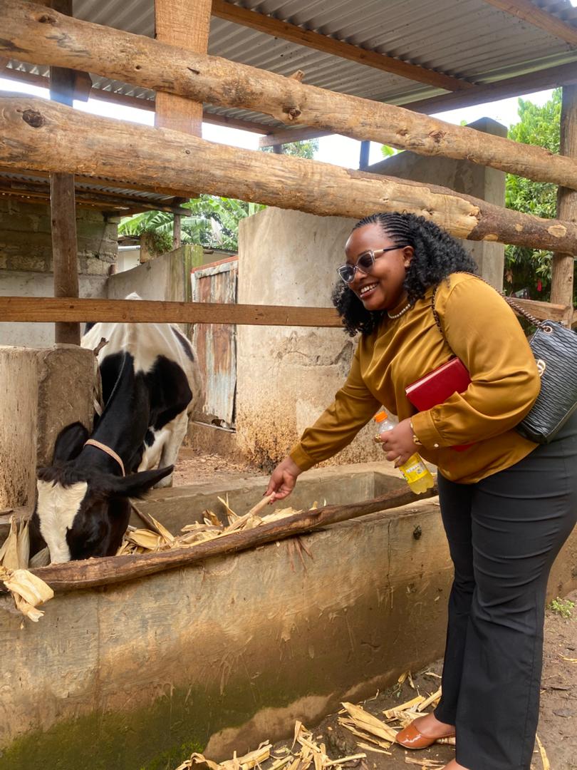 HopeCare_Org's tweet photo. In collaboration with Friends of Tanzania, HopeCare is empowering 120+ caregivers of HIV/AIDS-orphaned children with albinism. So far, 203 children in Arumeru, Arusha have received support in Education, Health, and Food Security building a safer, inclusive future.

#HopeCareTz | https://t.co/fsMuddSwiB