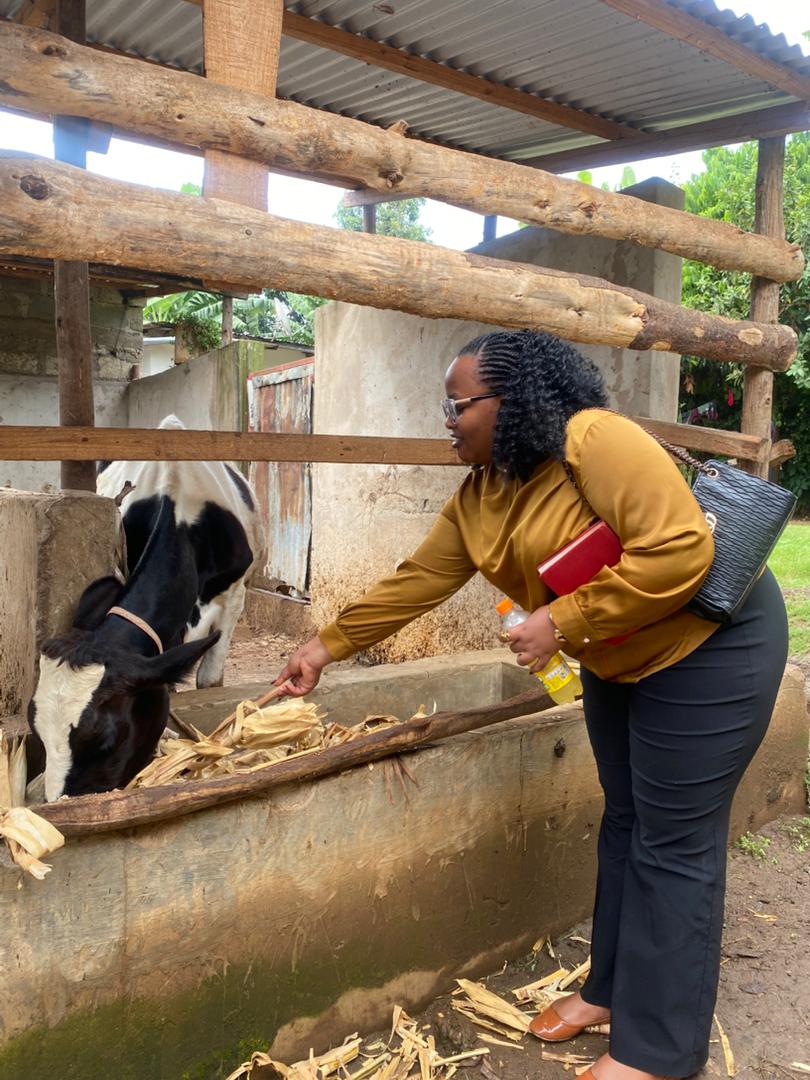 HopeCare_Org's tweet photo. In collaboration with Friends of Tanzania, HopeCare is empowering 120+ caregivers of HIV/AIDS-orphaned children with albinism. So far, 203 children in Arumeru, Arusha have received support in Education, Health, and Food Security building a safer, inclusive future.

#HopeCareTz | https://t.co/fsMuddSwiB
