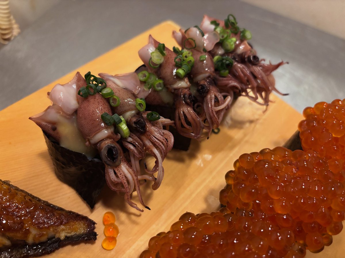 ほたるいか入ってきました