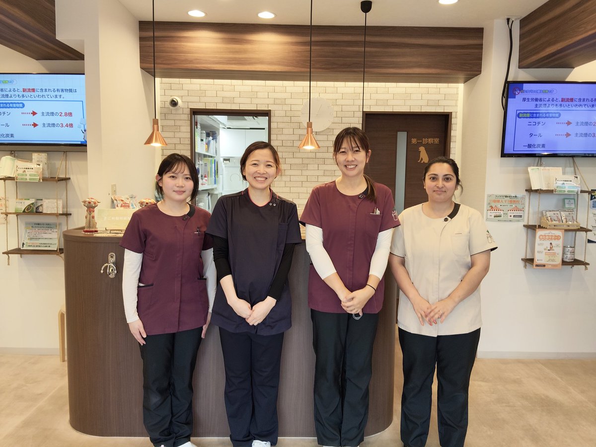 どうぶつたちの眠れない夜に tweet media