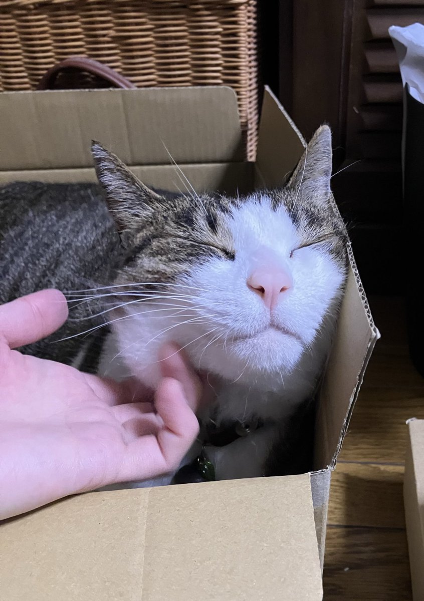 Post by 胡谷陽 on X: なんでや。