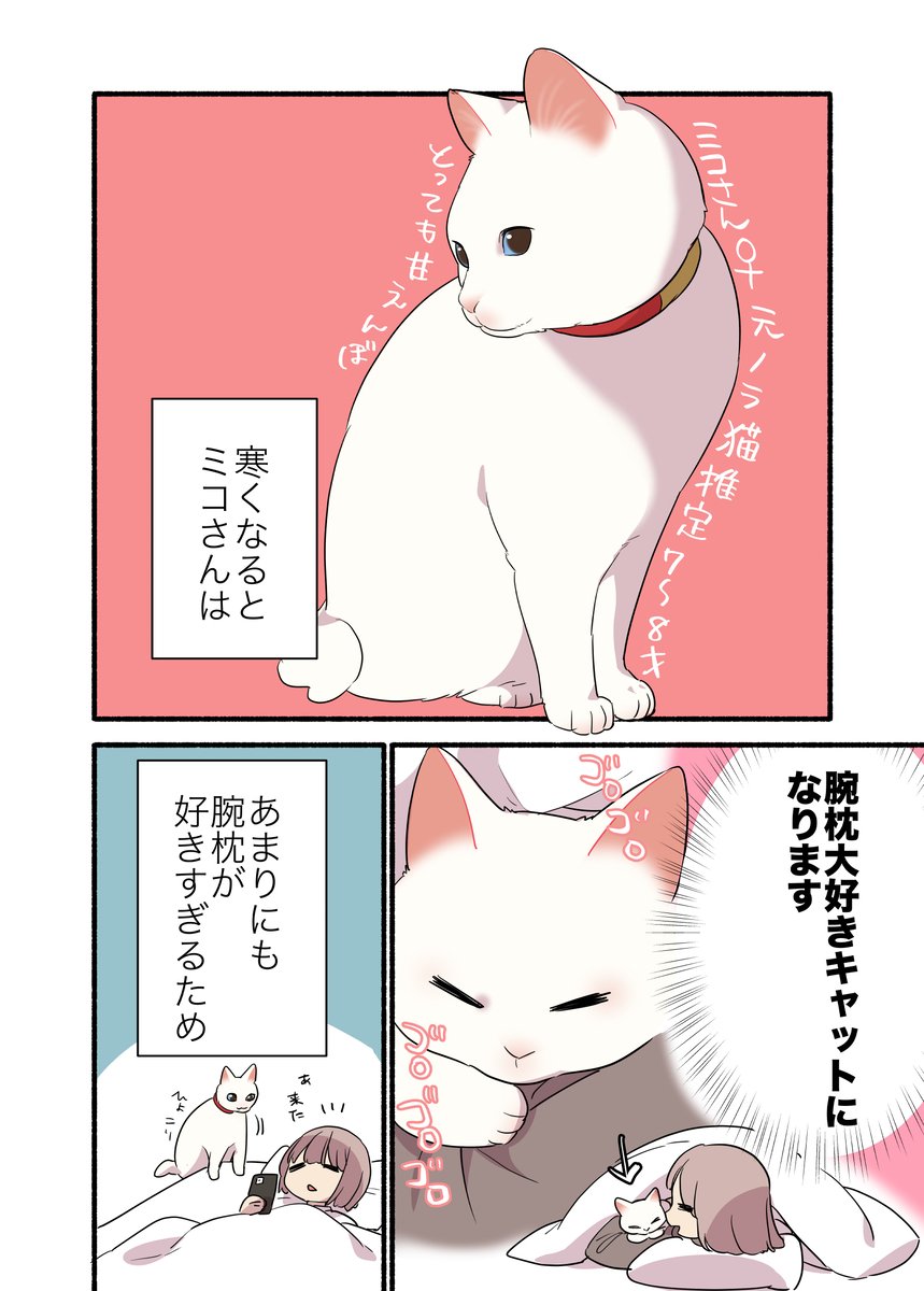 甘えんぼ猫に腕枕ヤクザされてる話(1/2) 