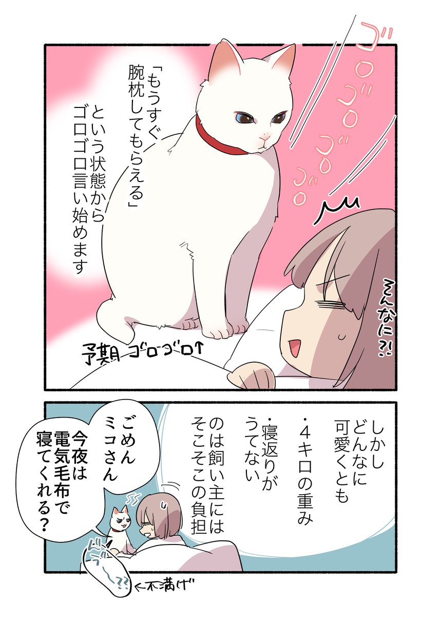 甘えんぼ猫に腕枕ヤクザされてる話(1/2) 