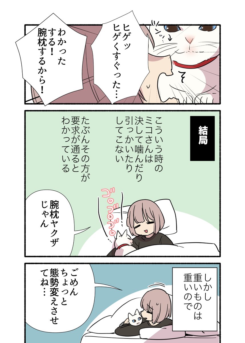 甘えんぼ猫に腕枕ヤクザされてる話(2/2)
こんな感じのエッセイコミック書籍情報↓に繋げておきます 