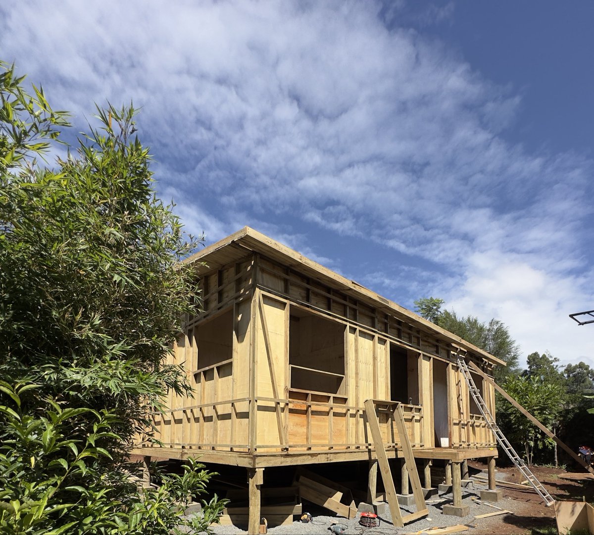 Call Me Kulubya tweet media