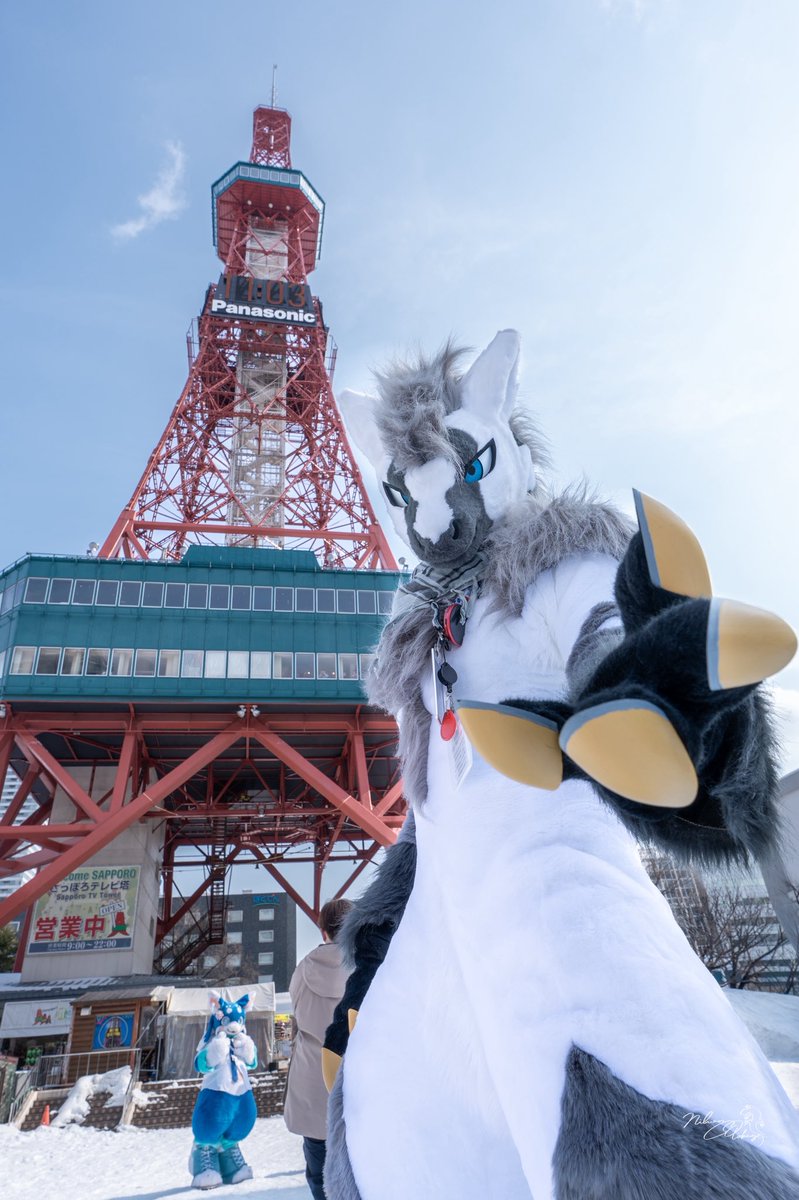 庫洛Cooro🇭🇰🔜ちるこん🔜Thaitails (@CooroWolf) / Posts / X