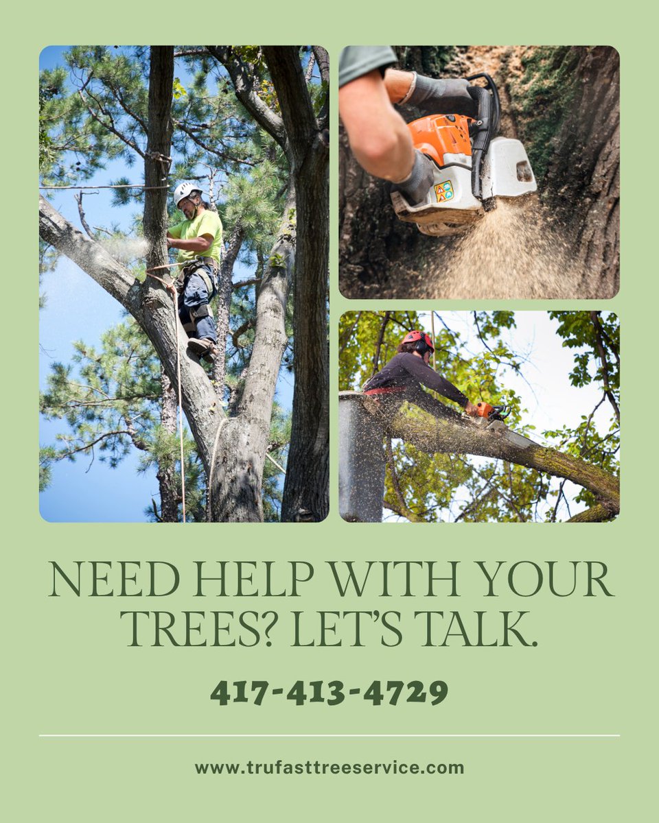 TrufastTree's tweet photo. Need help with your trees? We are here to assist you. Contact us at 417-413-4729 for a free consultation. https://t.co/VseD5Kbrct