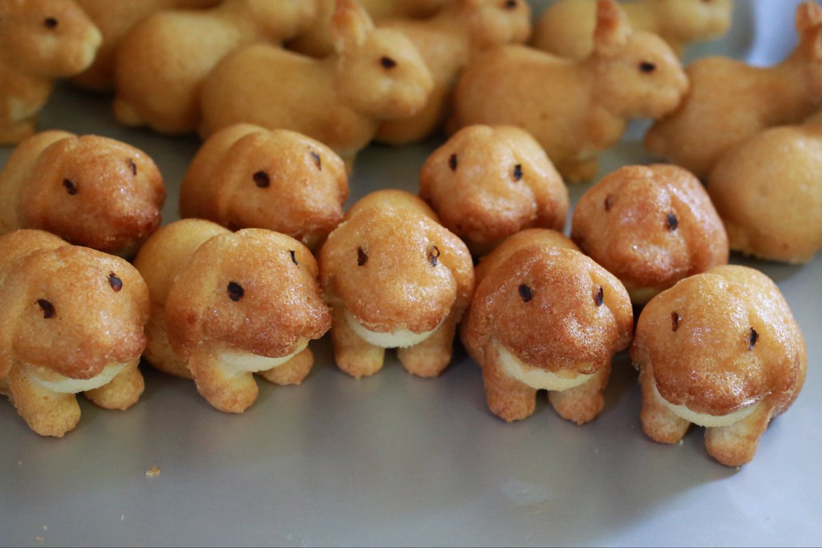 neutral_2cv's tweet photo. うさぎさん焼きドーナツちょこっと量産してみた。思ったより作れそう。今週末里親募集予定
Rabbit EXPO 2026 in 福岡( @RABBITEXPO2023 )
開催日程
場所　福岡県太宰府市　太宰府館3階
日程　2026年2月28日(土）〜3月1日（日） https://t.co/4276kwci0M