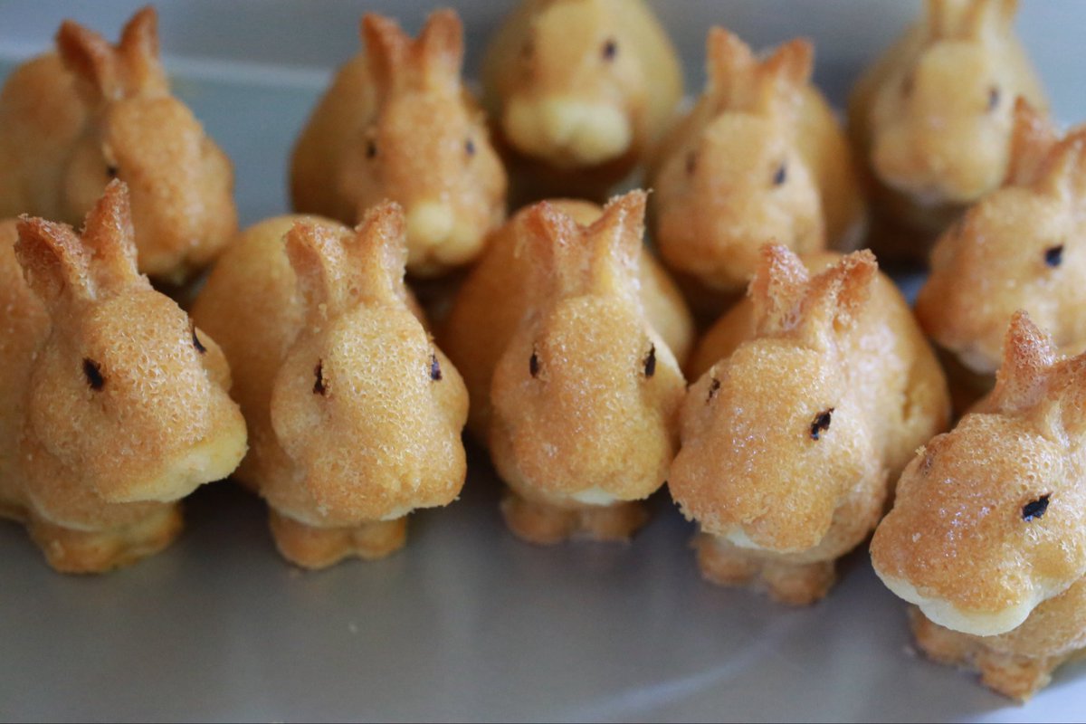 neutral_2cv's tweet photo. うさぎさん焼きドーナツちょこっと量産してみた。思ったより作れそう。今週末里親募集予定
Rabbit EXPO 2026 in 福岡( @RABBITEXPO2023 )
開催日程
場所　福岡県太宰府市　太宰府館3階
日程　2026年2月28日(土）〜3月1日（日） https://t.co/4276kwci0M