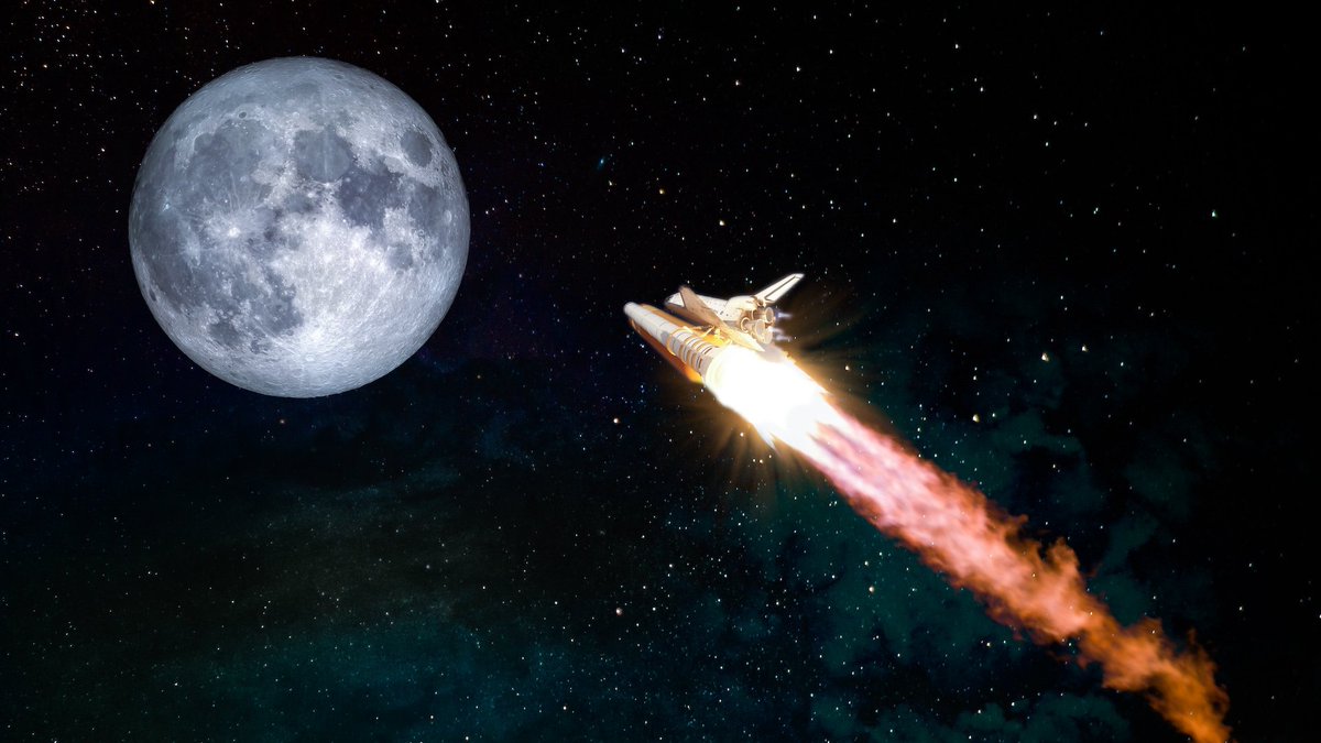 Theodor Coin tweet media