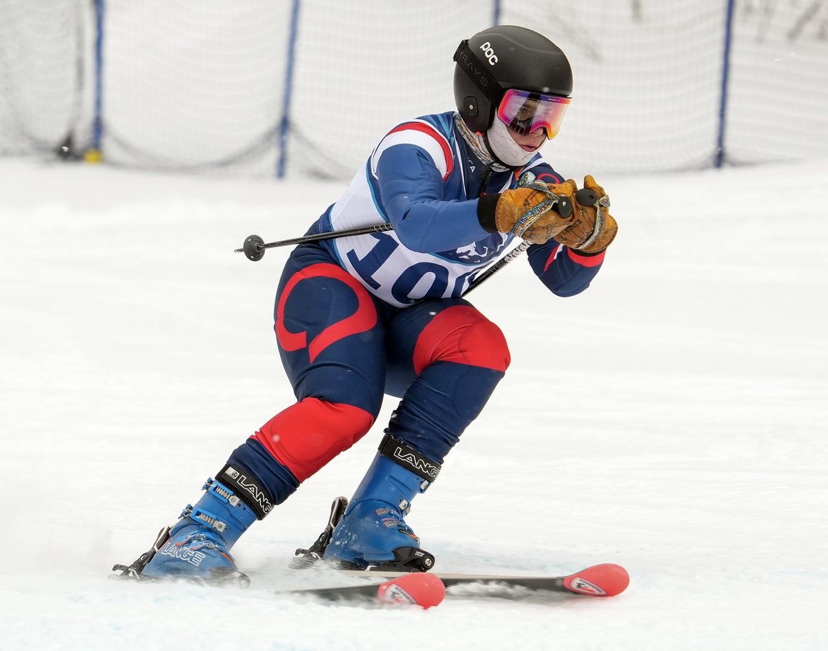 telegramdotcom tweet media