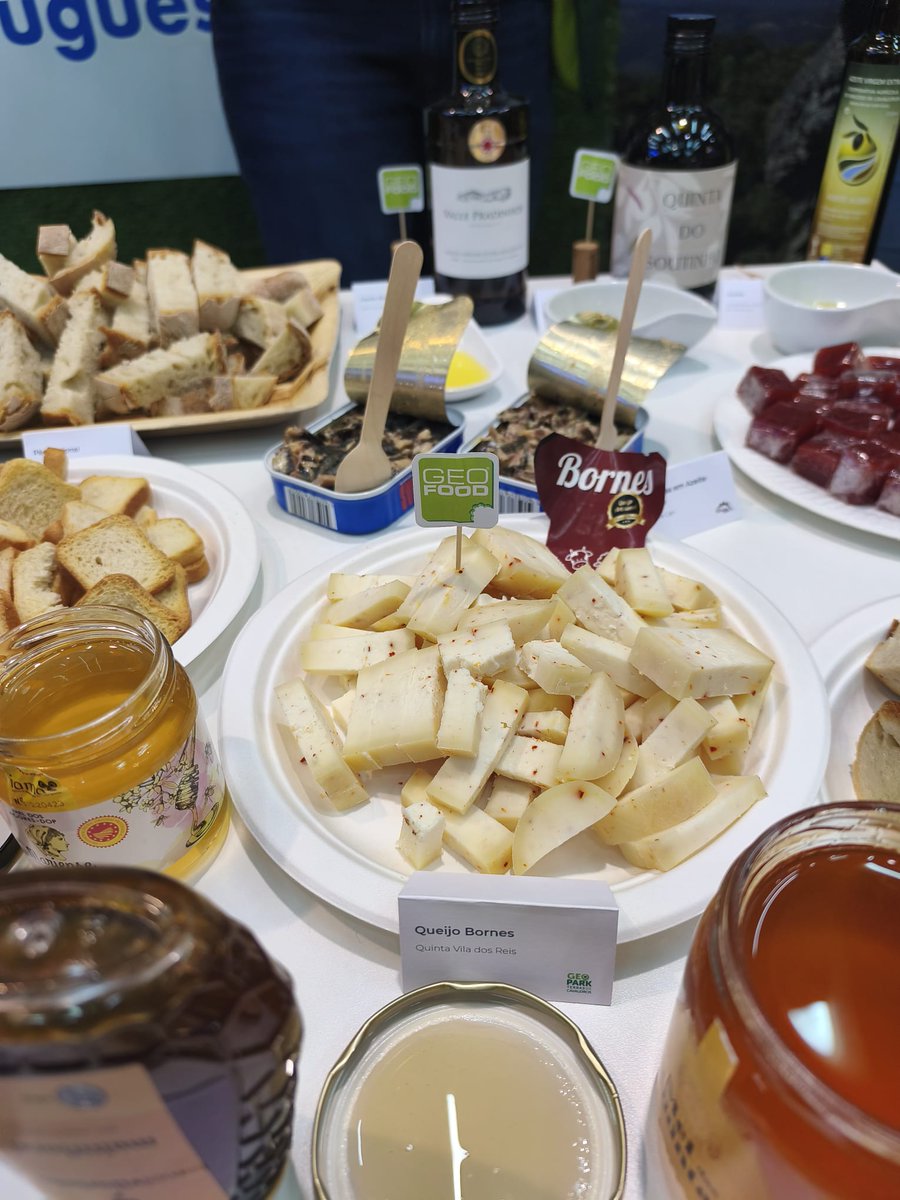 Geopark Terras de Cavaleiros tweet media