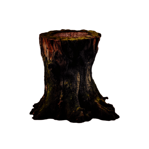 MALLORY. tweet media