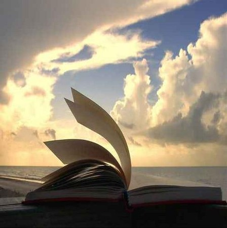 ⁓♦⁓

≡ LES PAGES DE LA VIE ——

Chaque jour, la Vie vous offre une page blanche

Dans le livre de votre existence.
Votre passé est déjà écrit,

Vous ne pouvez le changer ;
Dans ses pages, vous retrouverez votre histoire,

Quelques pages sont coloriées
D’autres sont plus