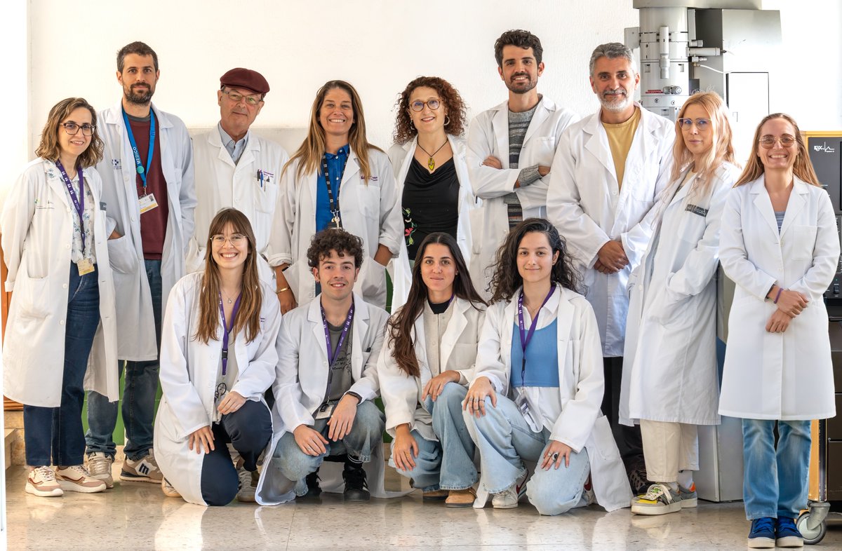 Fundación Fundame tweet media