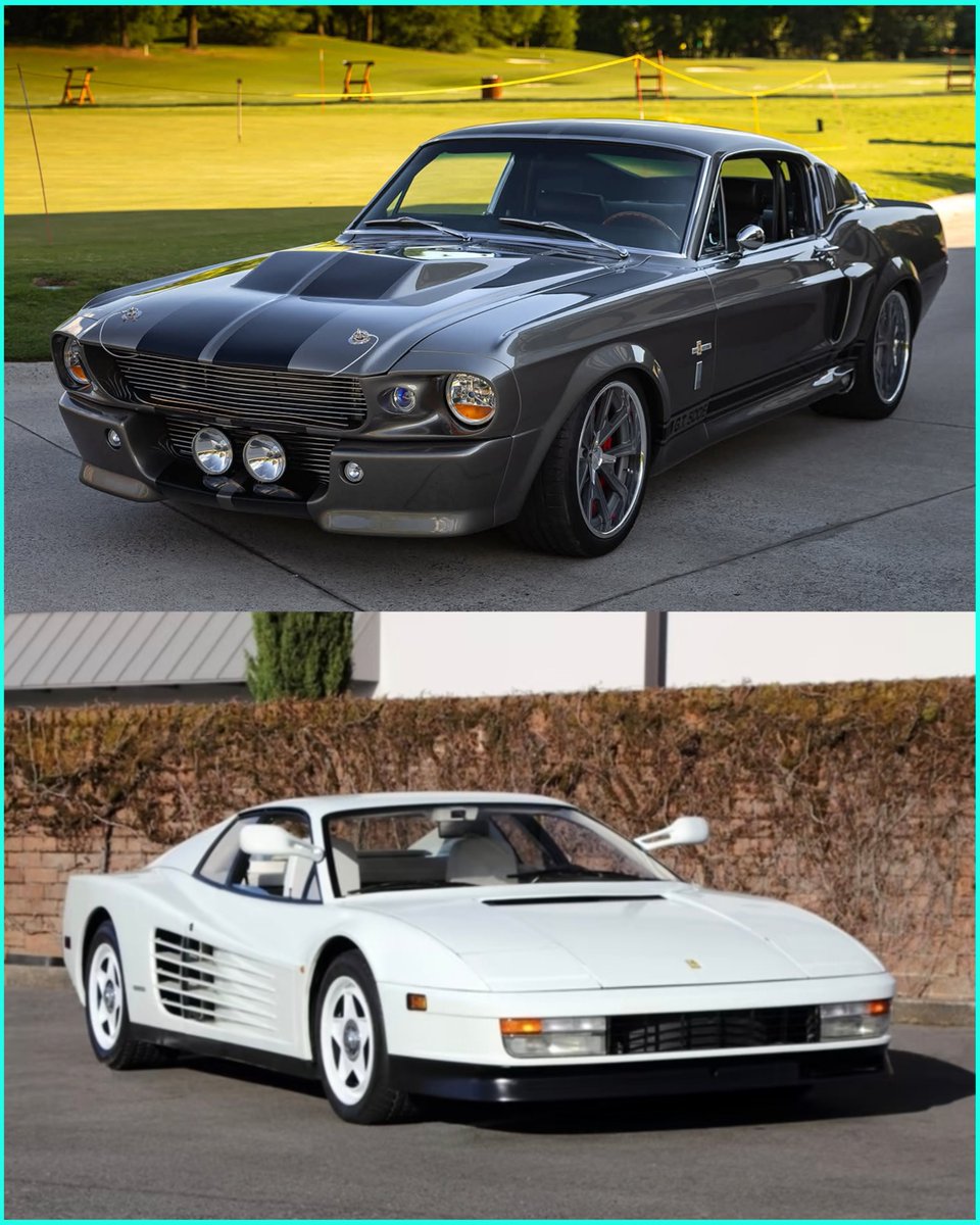 Mopar_Logic's tweet image. Shelby or Ferrari