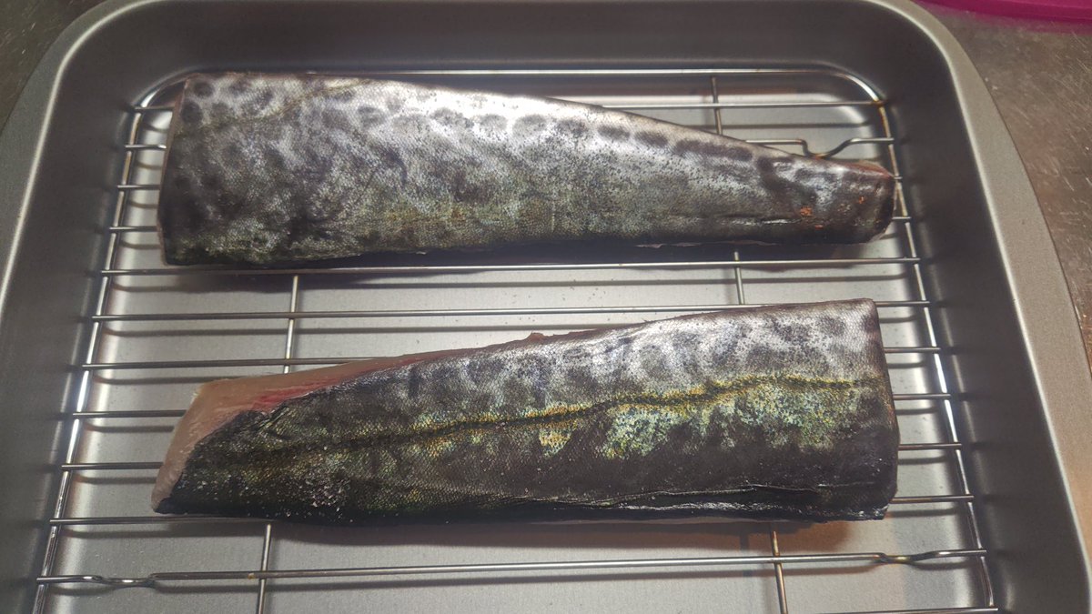 Yuichi5387's tweet photo. 今夜は炙って頂こうかと思います🍴🤤
#東京湾 #サワラ https://t.co/5utxaPpiBd