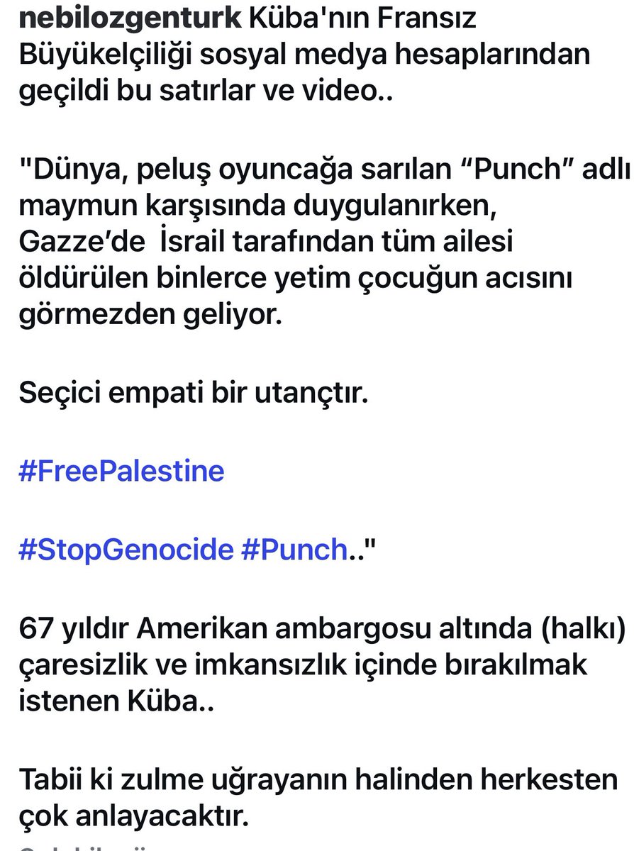 nebilozgenturk's tweet image. Dünya, peluş oyuncağa sarılan “Punch” adlı maymun karşısında duygulanırken, Gazze’de İsrail tarafından tüm ailesi öldürülen binlerce yetim çocuğun acısını görmezden geliyor.

Seçici empati bir utançtır.

#FreePalestine #StopGenocide #Punch