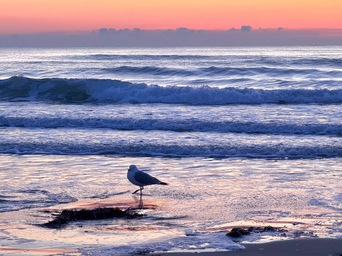 Realtor Rick 💙 tweet media