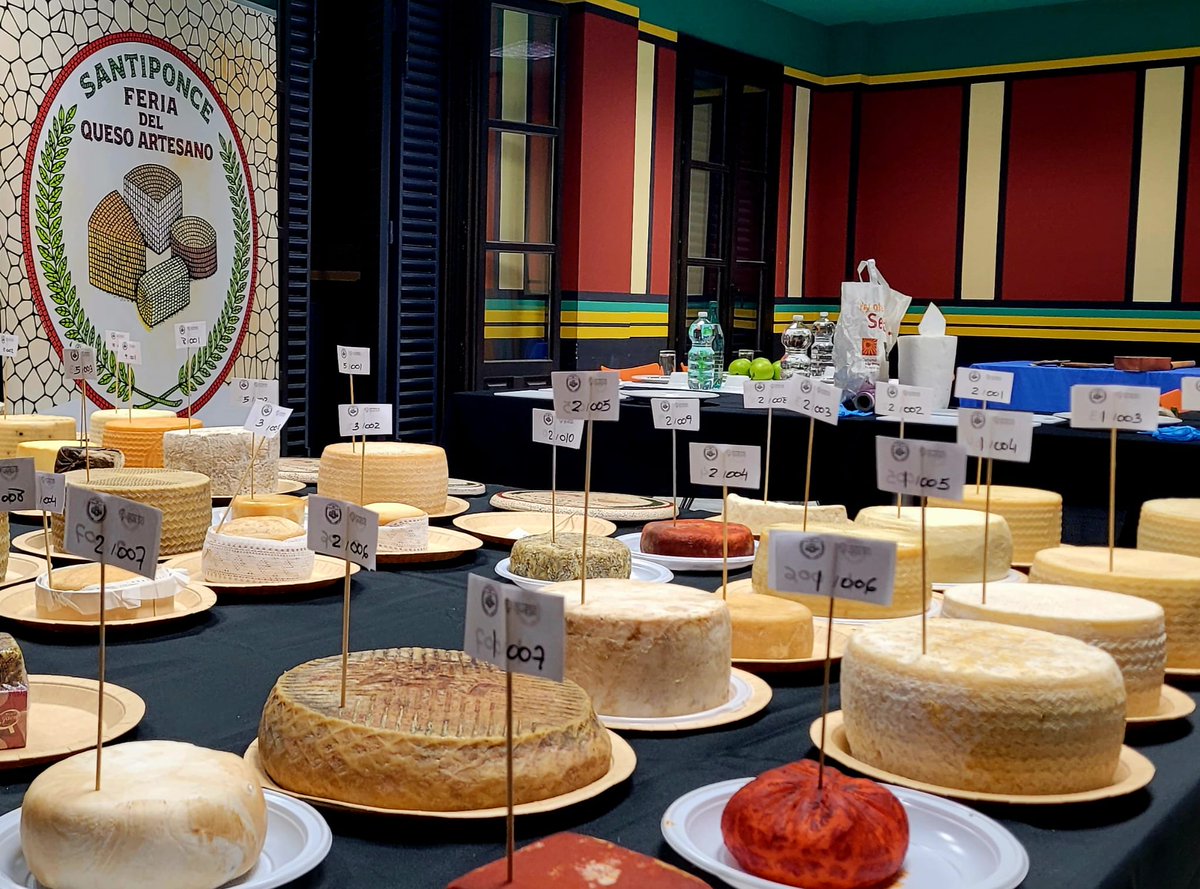 IfapaJunta's tweet photo. Técnicos especialistas del #IFAPA presiden y participan como jueces de #cata en la VI edición del Concurso de #Queso Artesano de Santiponce🧀

Esta acción estratégica contribuye al desarrollo y reconocimiento del patrimonio quesero #artesanal 🔝

#QuesoArtesano #Agroalimentación https://t.co/wsv7SbdzQC