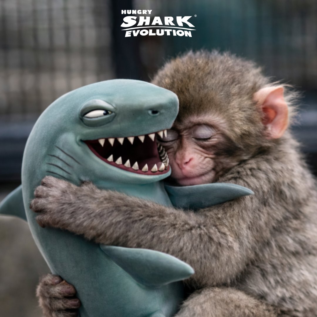 Hungry_Shark's tweet image. Punch, know that you’ll always have a friend in Reef Shark no matter what 🫂🥺
#HungryShark #punchthemonkey #hugs