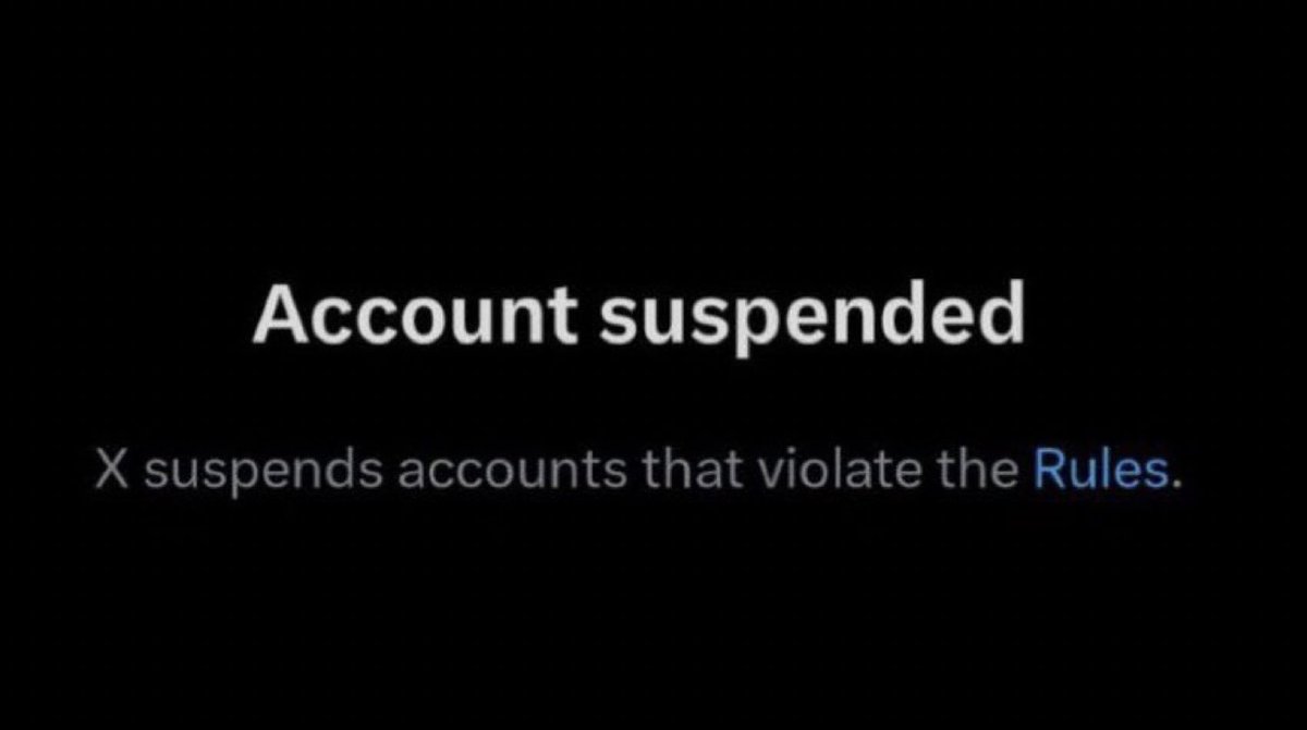 mufettis 🐋 tweet media