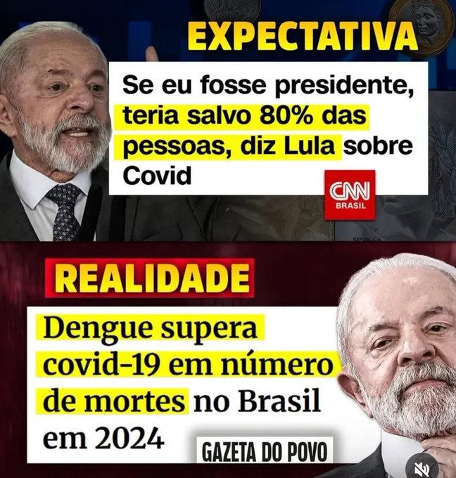 Marcos Petrucelli tweet media