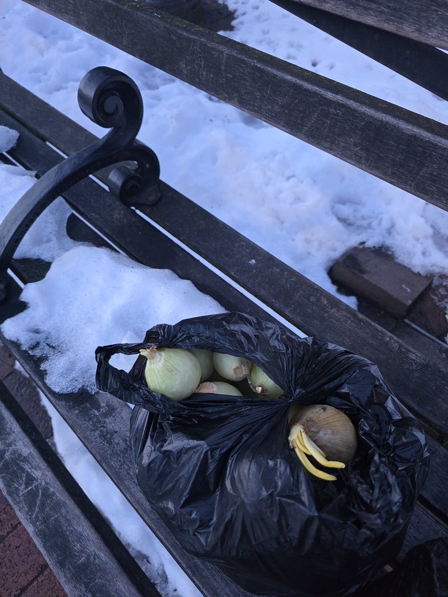 hell_doe's tweet photo. hey man you forgot your sack of tiny onions https://t.co/OqBlb1LP1E