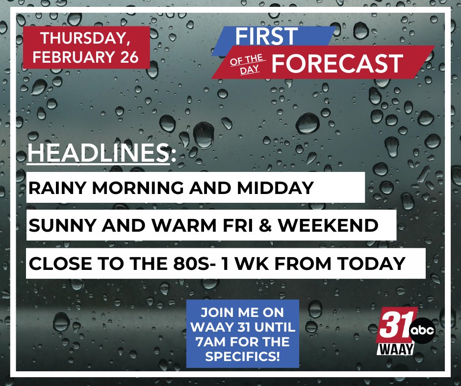 Grace Anello Tuberville tweet media