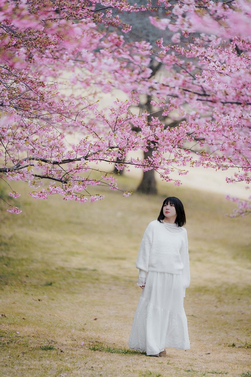 ハシモトメロ (@hashimoto_melo) / Posts / X