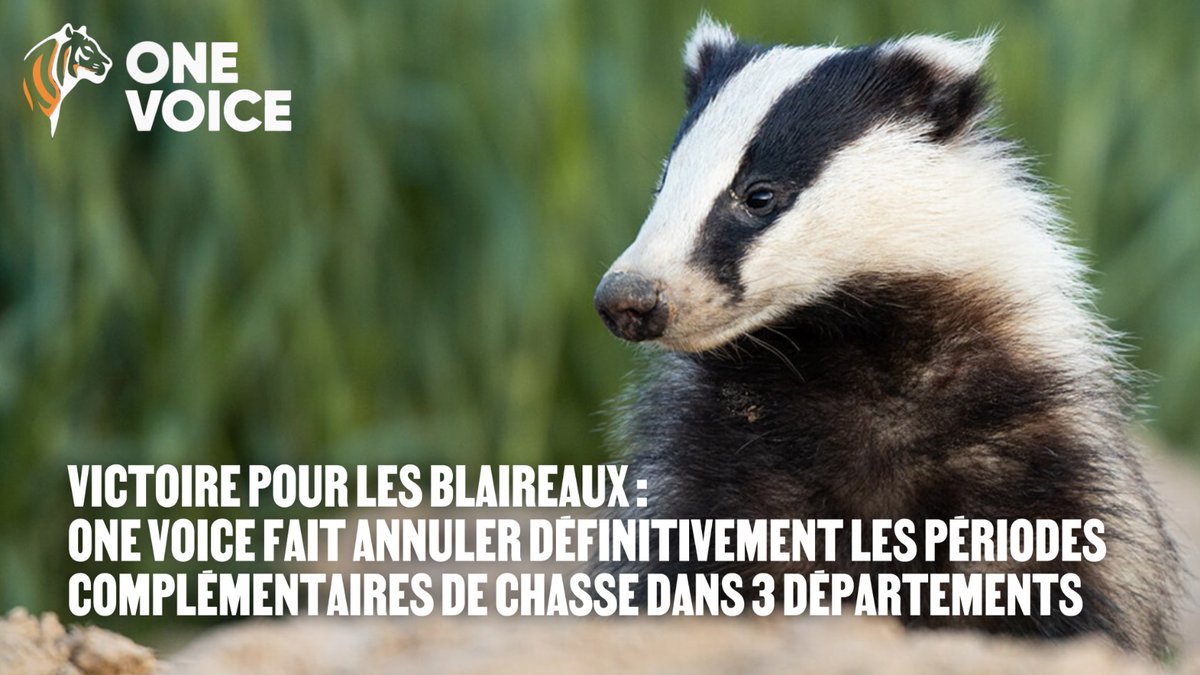 One Voice tweet media