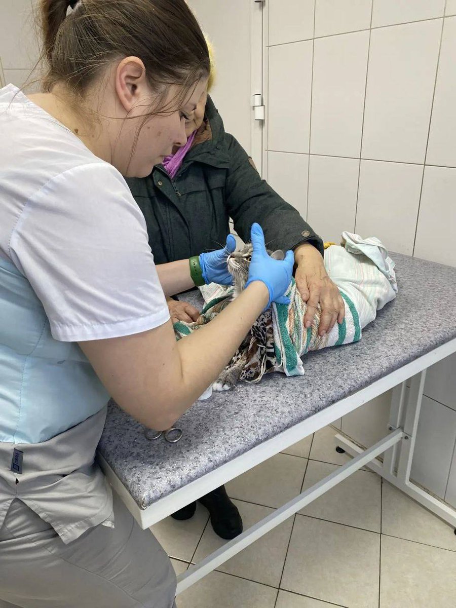 Холод tweet media