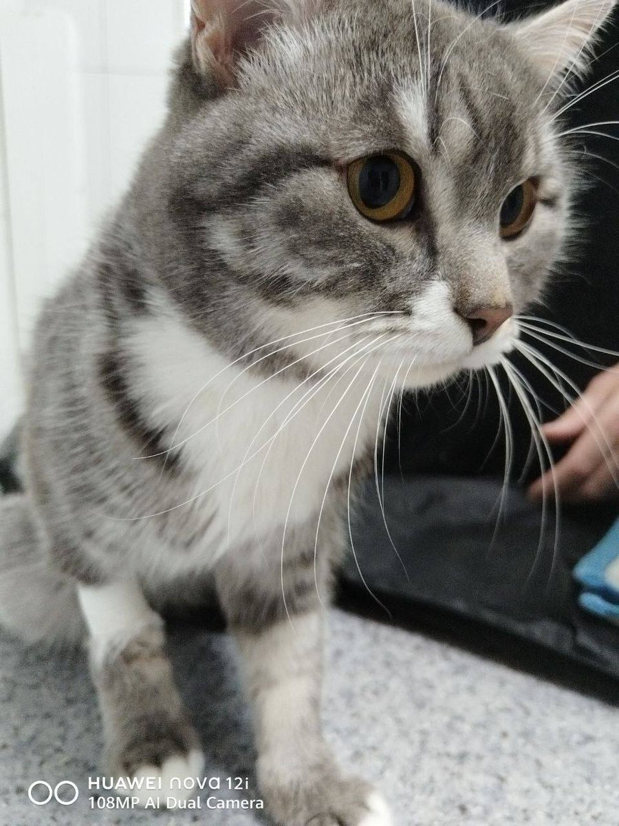 Холод tweet media