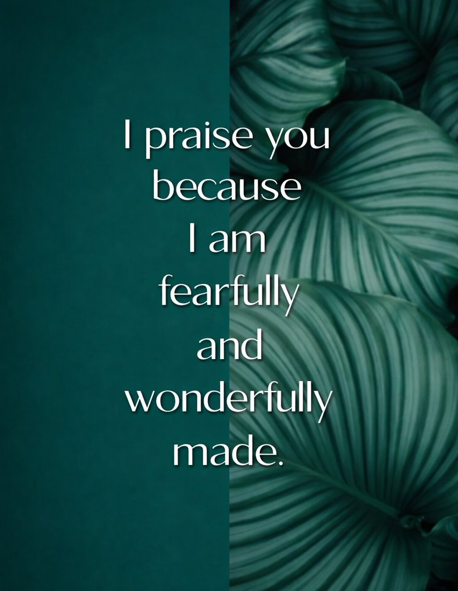 The Bible tweet media