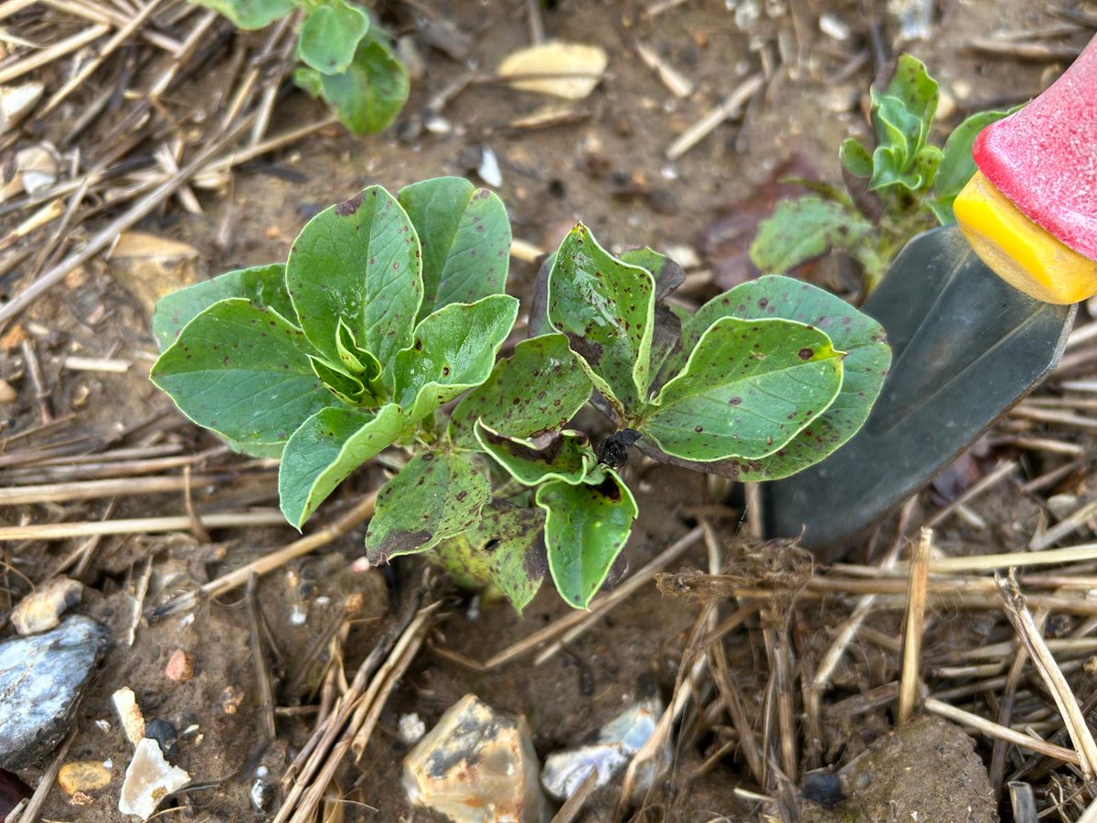 uniumbioscience tweet media