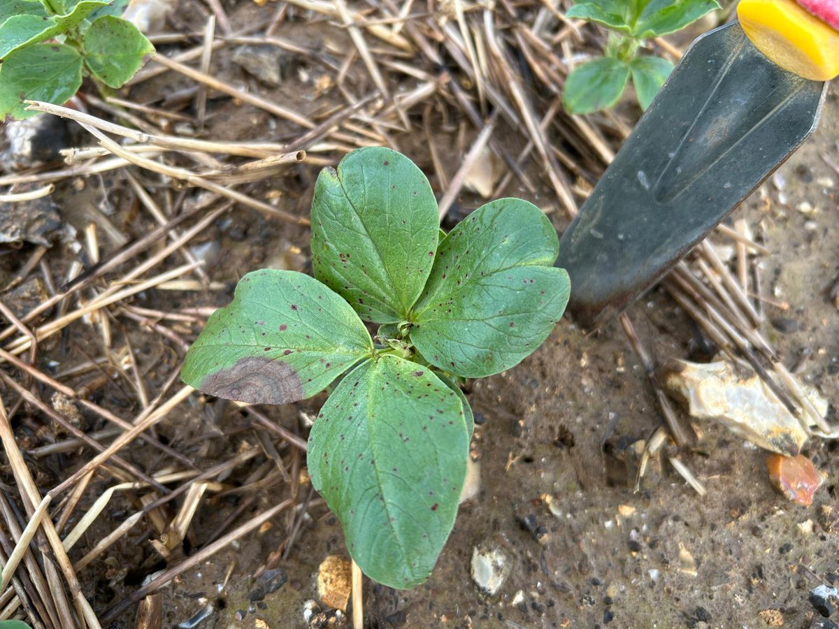 uniumbioscience tweet media