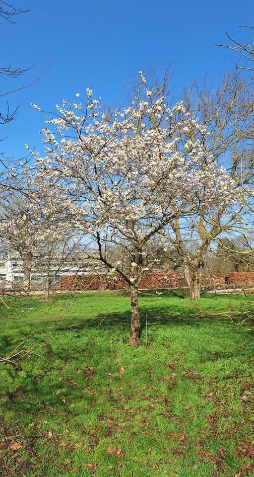 Tom Williams tweet media